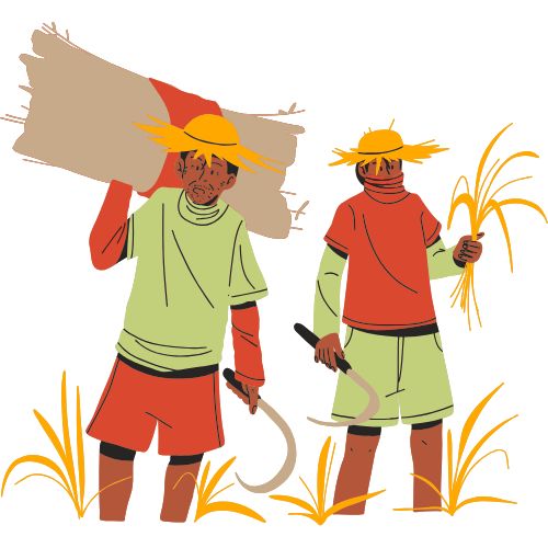 mano driving school offer for people from agricultural background